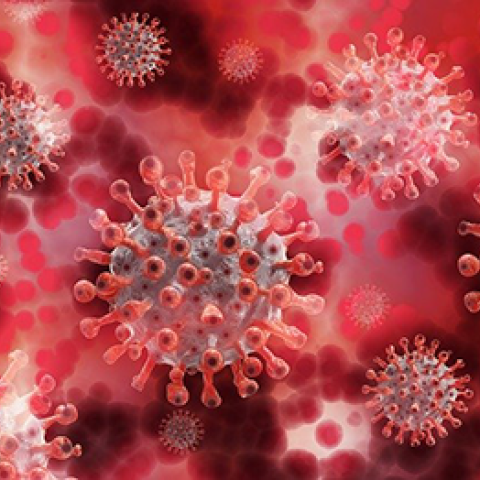 covid-19 virus